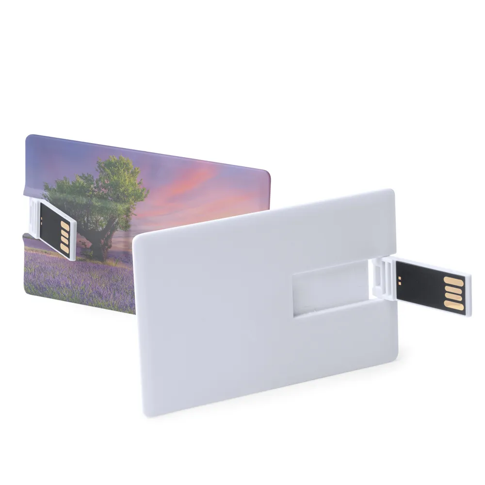 8105 Kart USB Bellek görsel 3