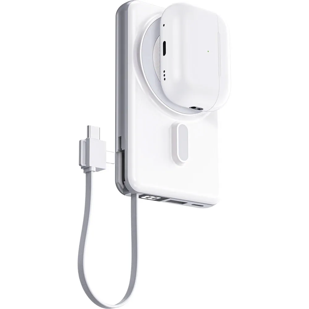 PWB-10 4 in 1 PowerBank görsel 2